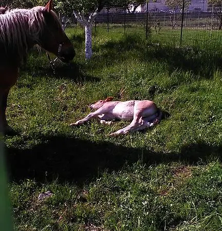 Tatil Evi De Sanctis