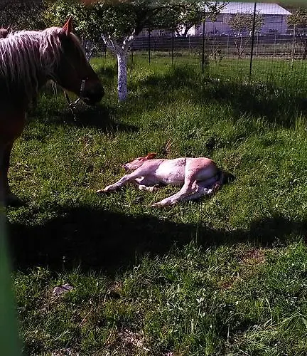 Casa vacanze De Sanctis